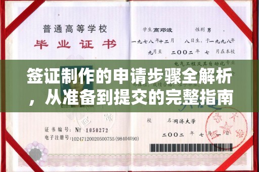 邢台签证制作的申请步骤全解析，从准备到提交的完整指南