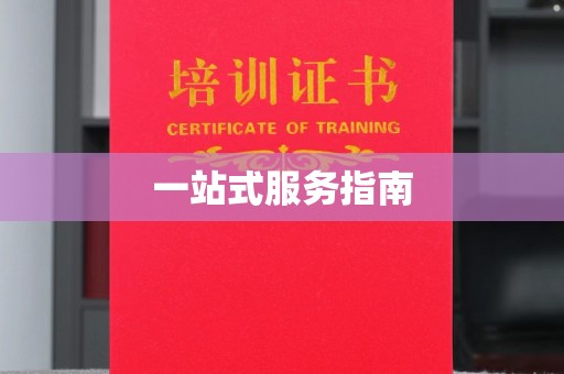邢台一站式服务指南