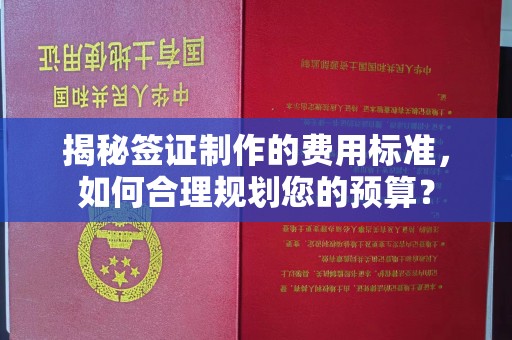 邢台揭秘签证制作的费用标准，如何合理规划您的预算？