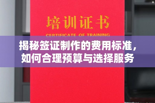 邢台揭秘签证制作的费用标准，如何合理预算与选择服务