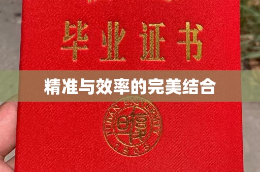 邢台精准与效率的完美结合